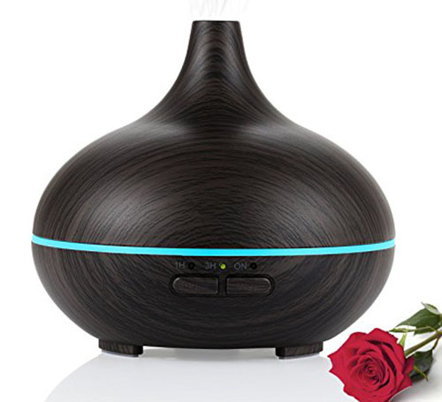 4. NexGadget Aroma Diffuser Humidifier