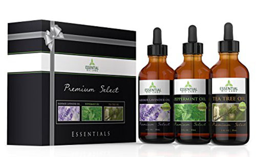 7. Essential Oils Gift Set- Peppermint, Tea tree and lavender