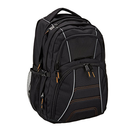 2. AmazonBasics Backpack for Laptops up to 17 inches